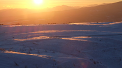 雪原の朝