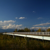 橋