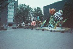異生物との遭遇・・・^_^;