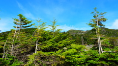 雨池山を望む