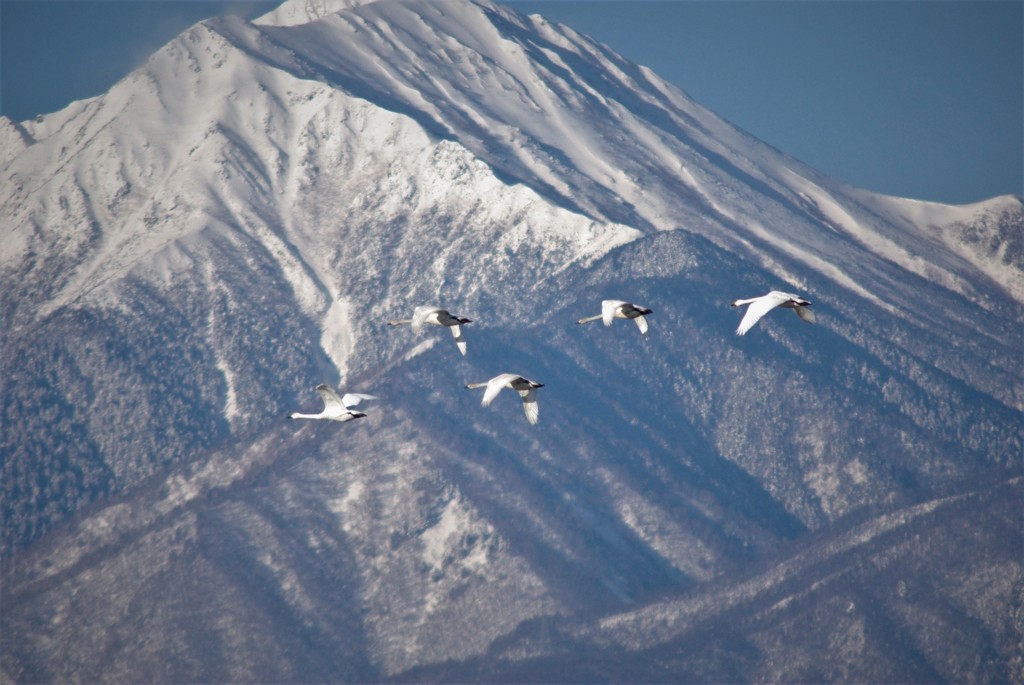 常念の麓に
