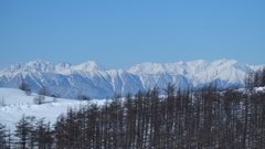 穂高連峰遠望