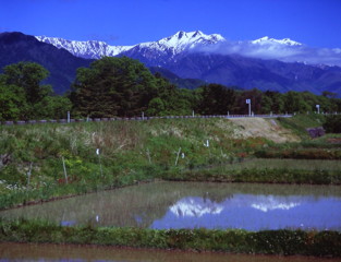 五月の白馬連峰　（フィルムの残像）