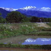 五月の白馬連峰　（フィルムの残像）