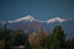 常念岳朝景　(フィルムスナップ）