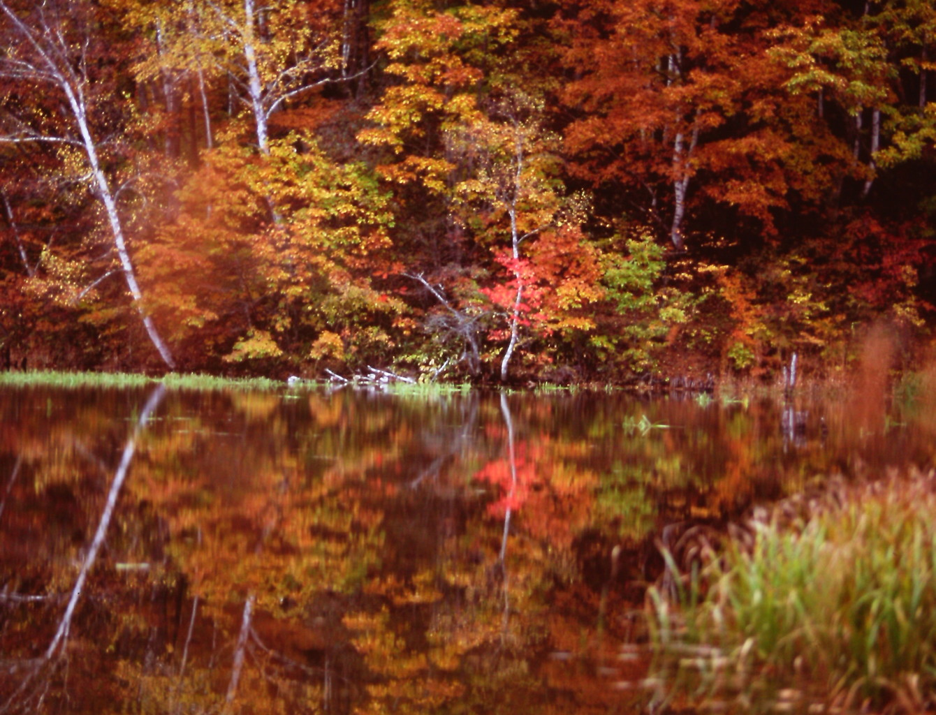 紅の記憶　（フィルムの残像）