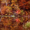 紅の記憶　（フィルムの残像）