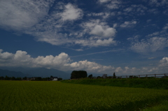 田園の初秋