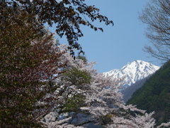 木曽駒ケ岳