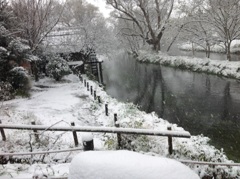 初雪  