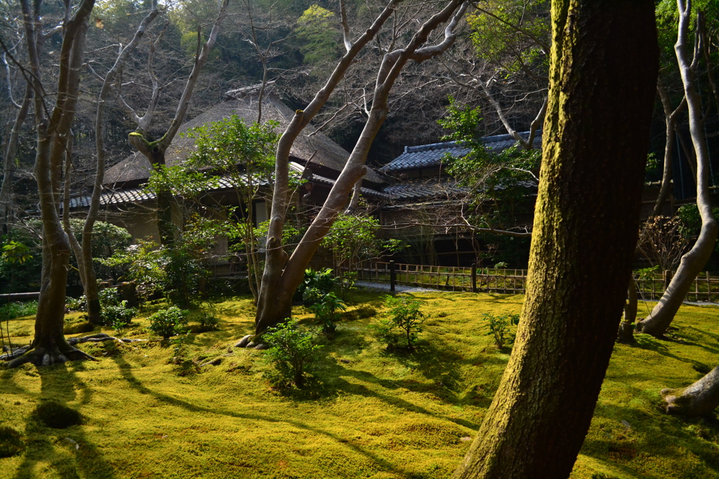 庵　（祇王寺）