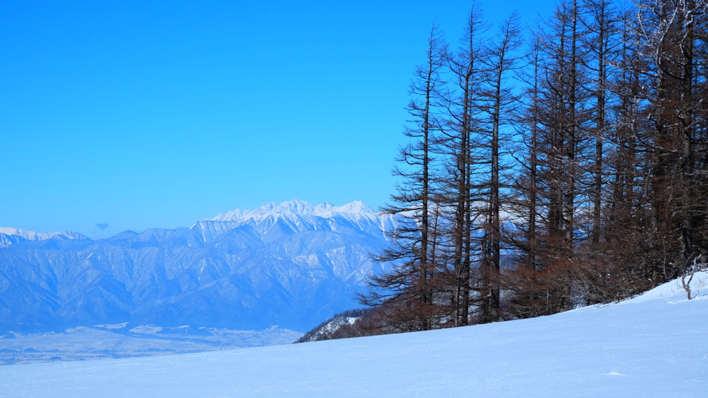 林越しに穂高の山々