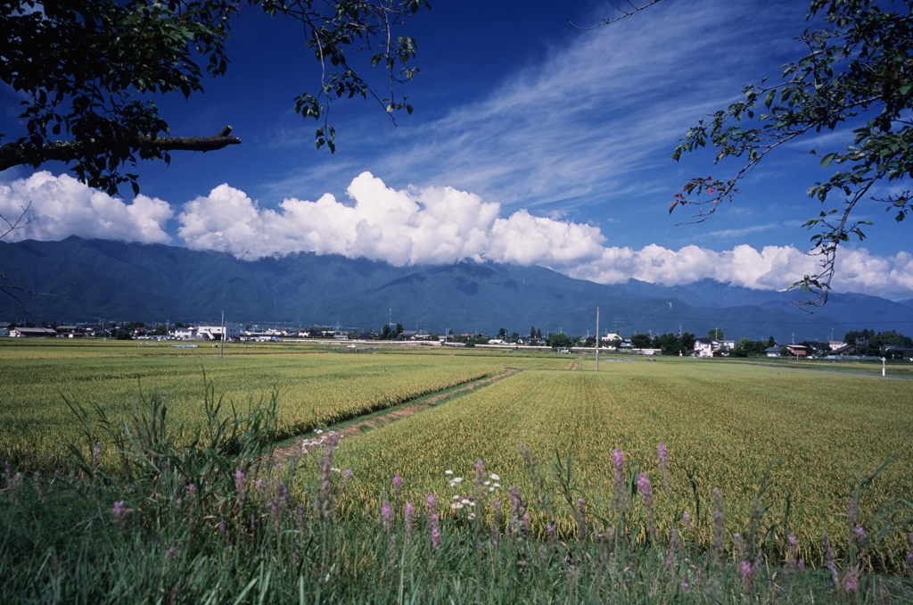 安曇野四景（フィルムスナップ4）