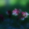 甘い思惑