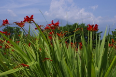 夏空