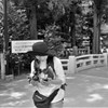 露出計を頼りに