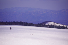 雪原に遊ぶ