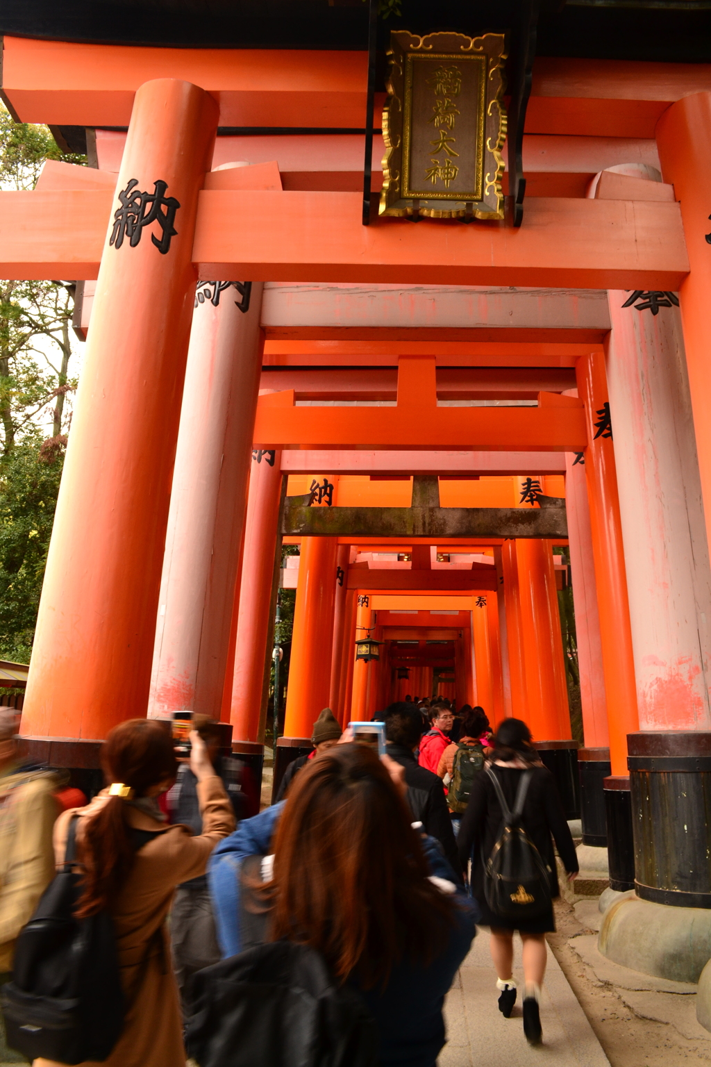 鳥居のトンネル　（京都旅行日記）