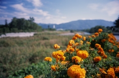 安曇野四景（フィルムスナップ3）