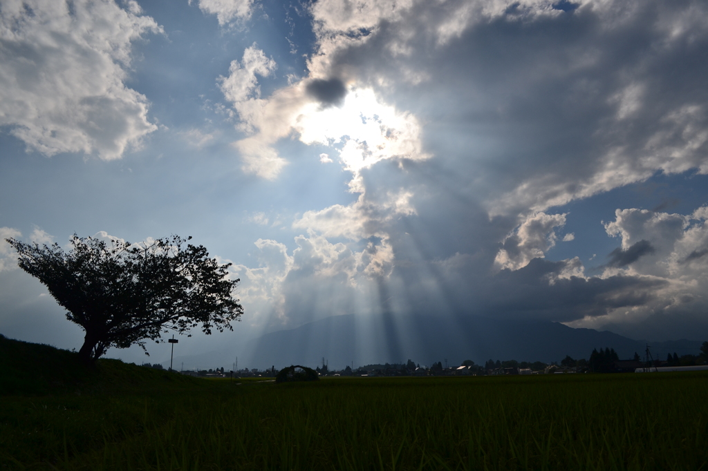 秋の空