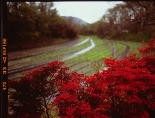 静かな秋　（フィルムの残像）