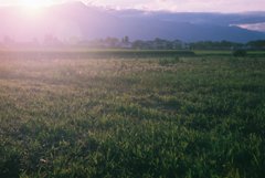 夕陽射す　（フィルムスナップ）