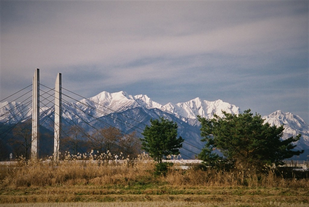 橋