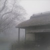 朝霧
