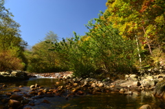 秋の溪