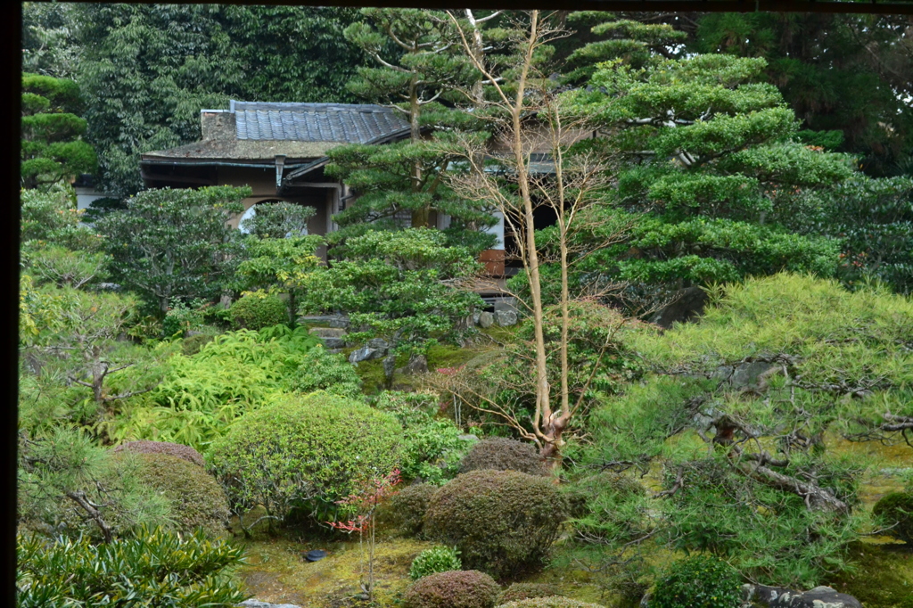 伏見稲荷茶室より　（京都旅行日記）
