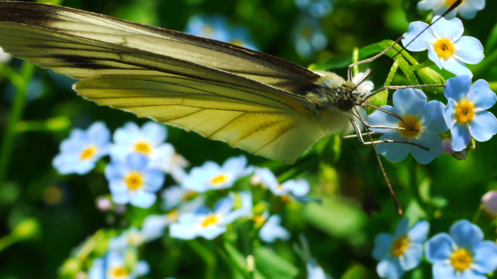ダブってしまいました…！