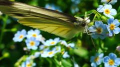 ダブってしまいました…！