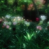 誘惑