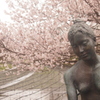 山道落花