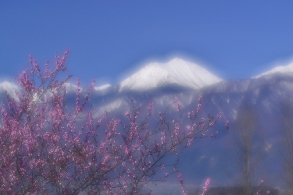 紅梅と常念岳２　常念岳四景