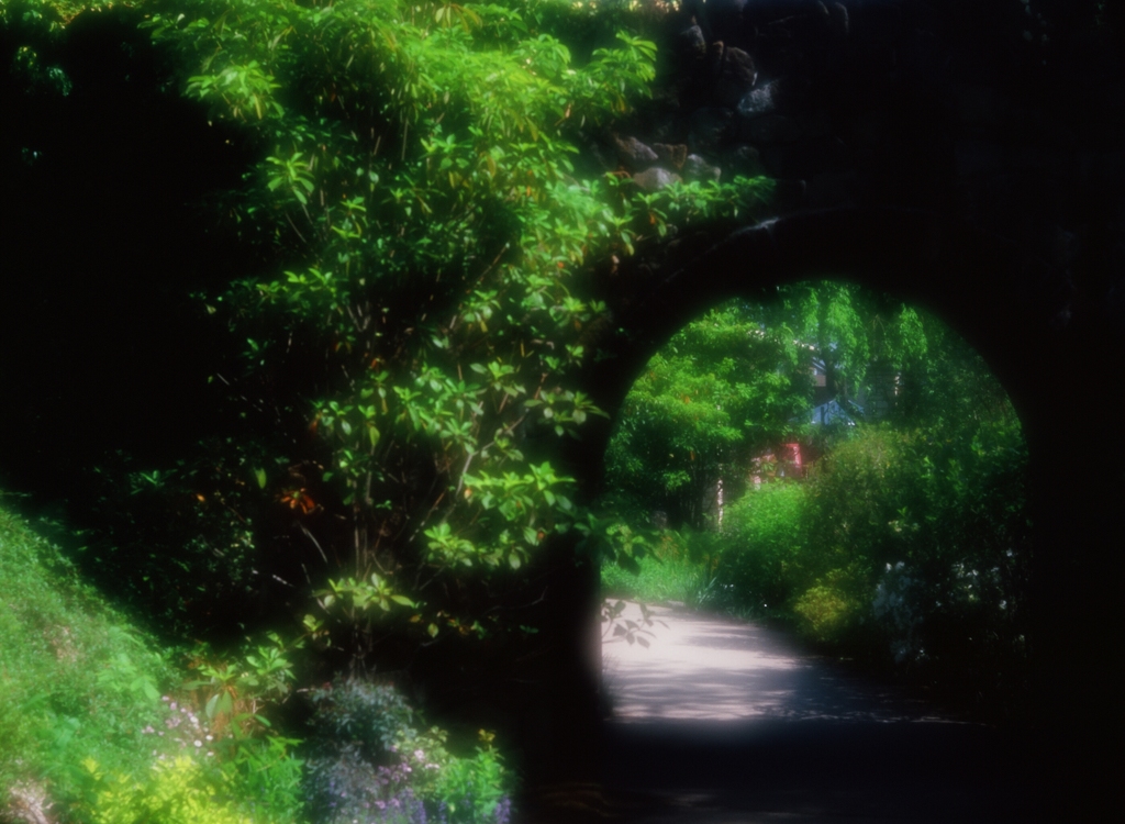 秘密の花園