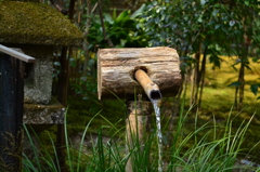 水　（祇王寺）