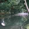 流れゆく川霧　（フィルムスナップ）