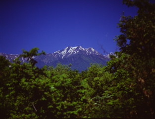 樹間に臨む爺ヶ岳　（フィルムの残像）