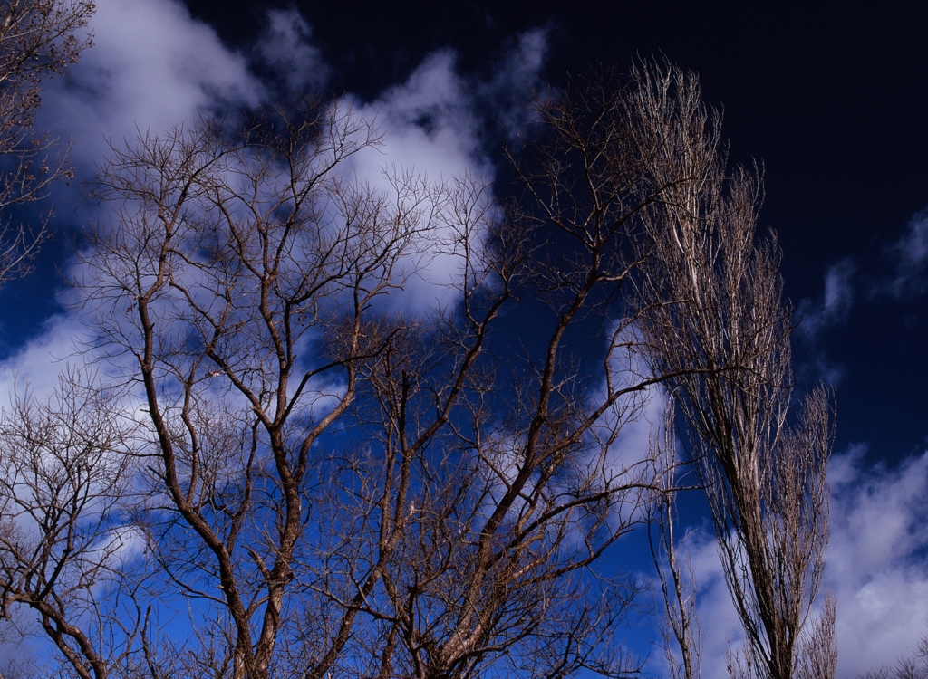 碧い空