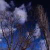 碧い空