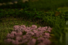 嵯峨野の山桜２　（ジオラマ）