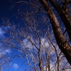 碧い空２