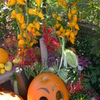 ハロウィンの贈り物１