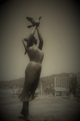 鎮魂　(フィルムスナップ)