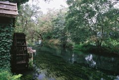 秋の流れ　（フィルムスナップ）