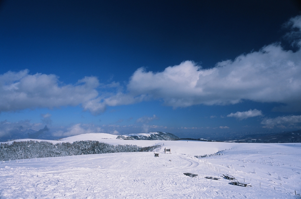 雪原の朝　（フィルムの残像）