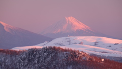 今日は日本の建国記念の日