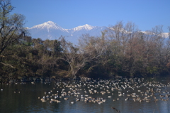 北アルプスの麓