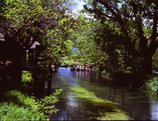 初夏の流れ　（フィルムの残像）